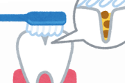 奥歯の最も奥って歯ブラシで磨きにくくね？
