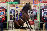 【画像あり】有馬記念出走時間のパチ屋のモニター前、とんでもない事になるｗｗｗｗｗ