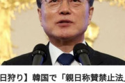 【親日狩り】韓国で「親日称賛禁止法が成立へ、日本を少しでも褒めると罰金650億ウオンの罰金」→「日本は本当に未開な国」　韓国の反応