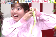 広島『イマナマ!』で放送事故！蛇が女子アナの首で脱糞(ウンチ)して大パニックｗｗｗ【田村友里】