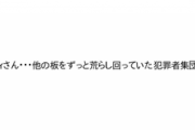 【AKB48板】最近突然湧いてきたコピペ荒らしがウザ過ぎるんだが