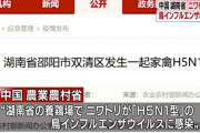【悲報】中国、まじでやばい！新型肺炎に続き鳥インフルエンザが発生、人に感染する最強「Ｈ５Ｎ１型」だと判明