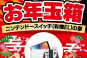 【画像】ヨドバシのニンテンドースイッチ福袋の中身ｗｗｗｗｗｗｗｗｗｗｗｗｗ