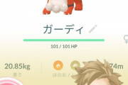 【ポケモンGO】ヒスイガーディ100％ゲット！こいつ何に使える？