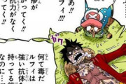 ルフィ「ゼェゼェ…チョッパー、俺ほんとに大丈夫なのか？」