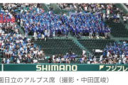【高校野球】明秀学園日立、学校応援団の吹奏楽部など約260人が甲子園到着に遅れる　声とメガホンをたたくなどして応援