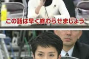 見たくない物は見えないのがパヨク　〜　パ「蓮舫さんがスーパー堤防を廃止にした証拠あるの？」　X民「あります｣「どうぞ｣「これです｣「これも