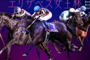 第47回 エリザベス女王杯 (GⅠ)