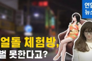 【韓国】ラブドール体験部屋は性売買か?