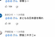 【悲報】まとめキッズ「すこｗｗｗ」「すこって何？」「すこも知らないのかよｗ」