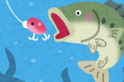 魚釣りしてる奴にいいたいことがある！マジでルアー釣りやめろ