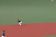 昨日のヤクルト武岡の守備ＷＷＷＷＷＷＷＷＷＷＷＷＷＷＷＷＷＷＷＷＷＷＷＷＷＷＷＷＷＷＷＷＷＷ