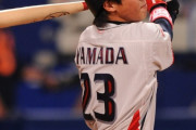 山田哲人(22).324 29本 89点 15盗塁 ops.941←この選手が出てきた時のワクワク感