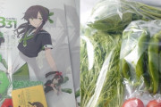 【悲報】艦これ運営の新コンテンツ『野菜娘』 頼んだ人の所に野菜が届くが、トマトが潰れてたり、梱包の仕方が雑で野菜農家の人がキレる