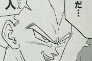 【ドラゴンボール】ベジータって初めて超サイヤ人を披露したときがピークだよなwwwwwwwwwwww