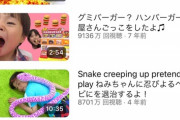 【悲報】「累計7億再生」されたキッズ系YouTuberの現在、ガチでヤバそうｗｗｗｗｗ