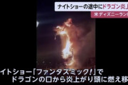 【悲報】ディズニーランドのナイトショーでドラゴンが炎上