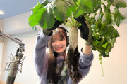小川彩ちゃん、ラジオで大根を収穫！！！【乃木坂46】