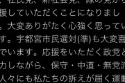 #宇都宮けんじさんを都知事にしよう立民・共産・社民らが支援！辛淑玉さんも応援！投票先は決まり！