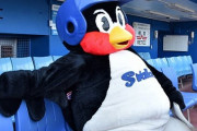 【悲報】ヤクルトの人気マスコット・つば九郎さん、新型コロナ陽性！　27日の球宴第2戦への出場は見合わせ