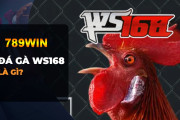 Đá gà WS168 là gì? Chiến thuật chơi đá gà thắng lớn tại 789Win