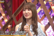 【日向坂46】オードリー若林にハマるために必要なものは「ミニ四駆」ｗｗｗｗｗｗｗｗ