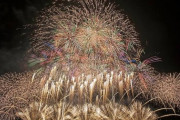 【速報】日本最大級の花火大会、中止ｗｗｗｗｗｗｗｗｗｗｗｗｗｗｗｗｗｗｗｗ