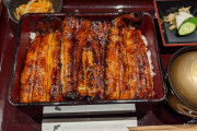 「うなぎ丼は本当に良いよな」外国人と見る美味しい日本料理