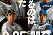 野球「開幕戦はエース当てるぞ！」←これいる？