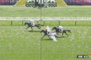 【競馬】5.24 京都4R 3歳未勝利 3着争いに意外な乱入者がｗｗｗ「なんかいて草」