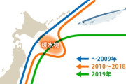 庶民の味方・サンマ　今年は1匹1000円の“高級魚”に　ぜいたくな秋の味覚　深刻な不漁か…見通し立たず　食卓の救世主は“イワシ”1匹120円　[8/26]