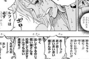 ワンピースのナミさんが見せるヒロイン力が好きなんだが分かる？