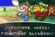 【ポケ森】「●●のせいでミッションが進まない…」知らない人多いみたいだけどこれでもクリアできるよｗｗ