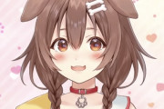 Vtuber 【戌神ころね】ころねすきーのこの部屋がマジでシュールすぎるｗｗｗｗｗ