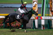 新潟牝馬Ｓを圧勝したウラヌスチャームは斎藤騎手との新コンビでエリザベス女王杯へ