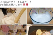 【悲報】ラブライバーさん、アクリルスタンドを箸代わりに飯を食ってイキってしまう