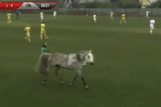 ◆悲報◆ウクライナｖｓイタリアのブラインドサッカーのピッチに馬と犬2匹が乱入して大混乱！