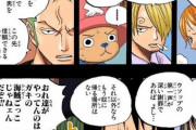 ゾロ「ワイ君の第一声が謝罪でなきゃ置いていく」チョッパー「…！！」