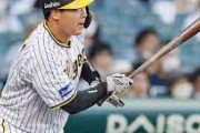 大山悠輔(28)のプロ野球人生を振り返る