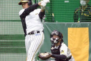 阪神・井上に“大山塾”打撃の悪癖矯正へ矢野監督のススメ「悠輔見といてみって」