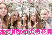 【動画】美人さん5人が新宿御苑でお花見をしてみた