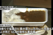 【和歌山カレー事件】ひろゆき「林真須美さんは無罪、真犯人は近所の小学生」