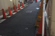 【画像】人気の無い裏路地でこんなのが舌なめずりしながらこちらを見ていたらｗ