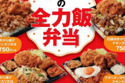【超画像】かつやの弁当、非の打ち所が無い
