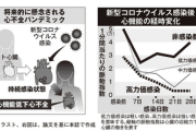 【緊急】理研・京大『コロナ感染者、累計4千万人全員に心不全のリスク』