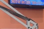 【アホスレ】人望民「今思うとNGT加藤の研究生降格理由って酷すぎない？」