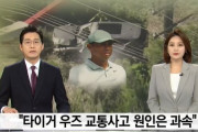 韓国車を運転中に事故ってしまったタイガー·ウッズさん‥交通事故原因が明らかに　韓国の反応