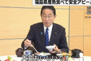 【安全画像】岸田、福島産の海の幸を食べてアピールするも庶民から批判が殺到‥‥こんなん絶対美味いやんけ！