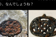 女さん「川でなんか拾った」ﾊﾟｼｬｯ📷　X民「今すぐ文化財保護課に連絡して」