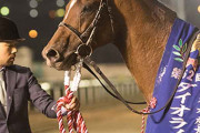 3/15（水）第68回 ダイオライト記念（JpnII）